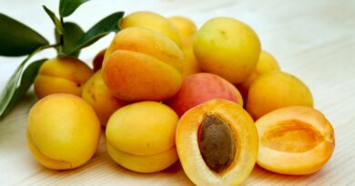 yellow round fruits on white table