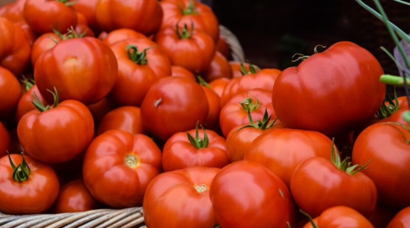 orange tomatoes