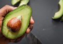 person holding green and brown sliced fruit