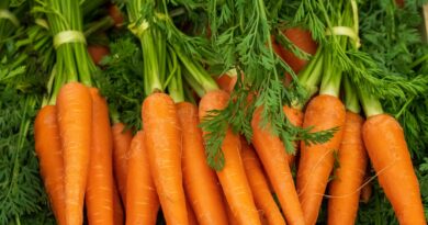 a pile of carrots with green tops and leaves