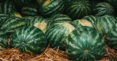 a pile of watermelons sitting on top of hay